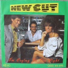 NEW CUT - I´m crying in the night